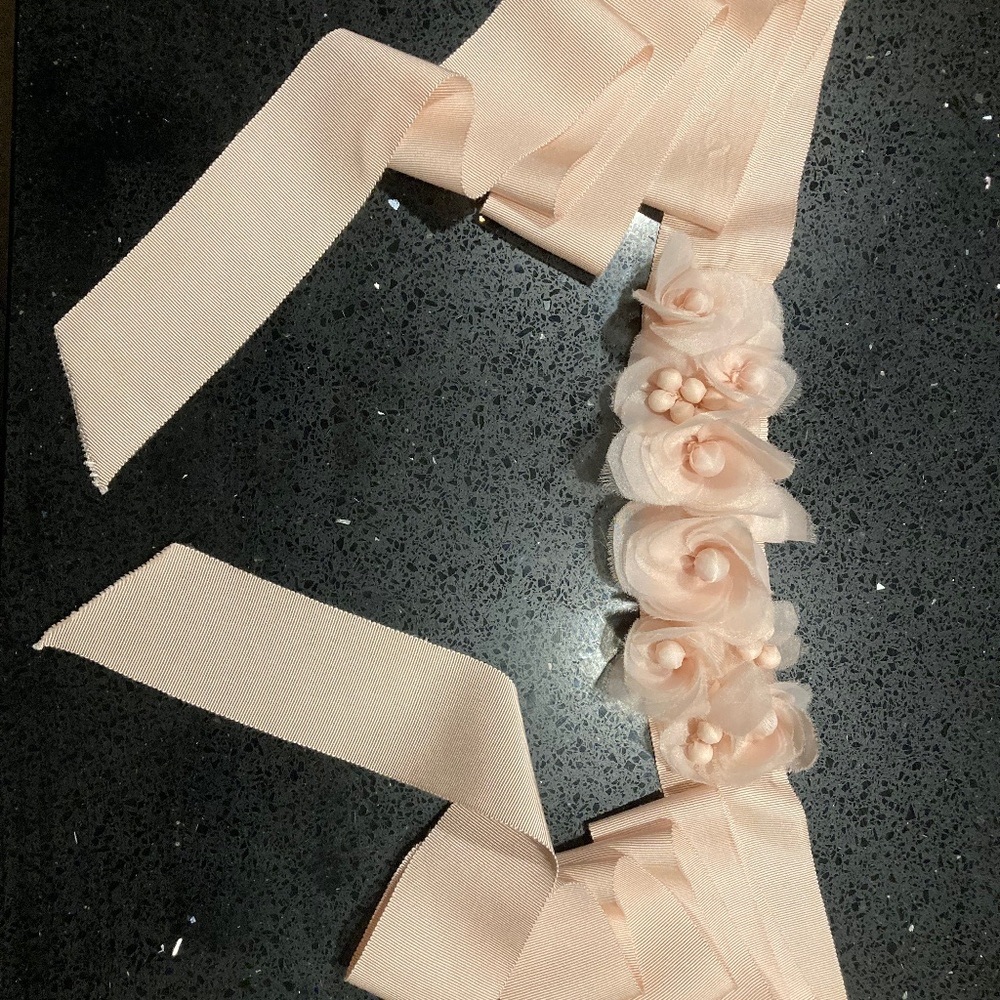 Vera Wang. Elegant Blush Colored Vera Wang sash
